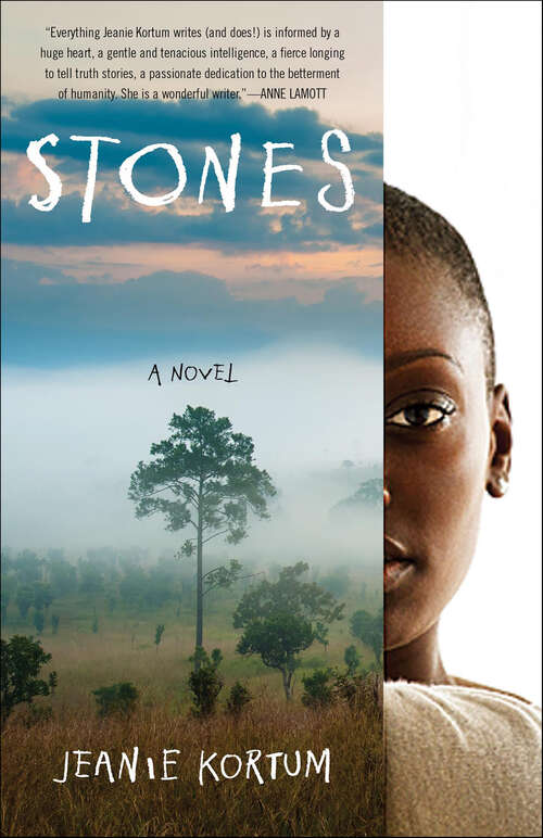 Book cover of Stones: A Novel