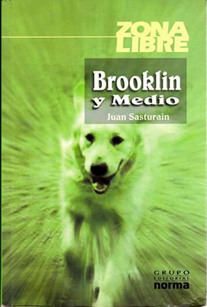 Book cover of Brooklin & Medio