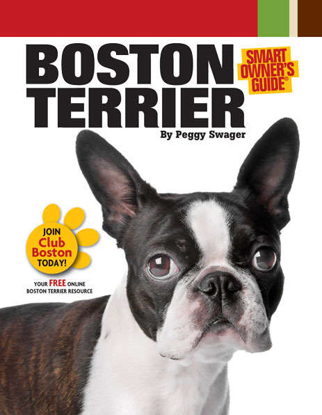 Book cover of Boston Terrier