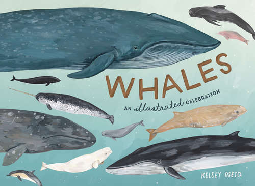 Book cover of Whales: An Illustrated Celebration