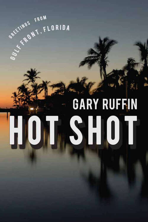 Book cover of Hot Shot: A Novel