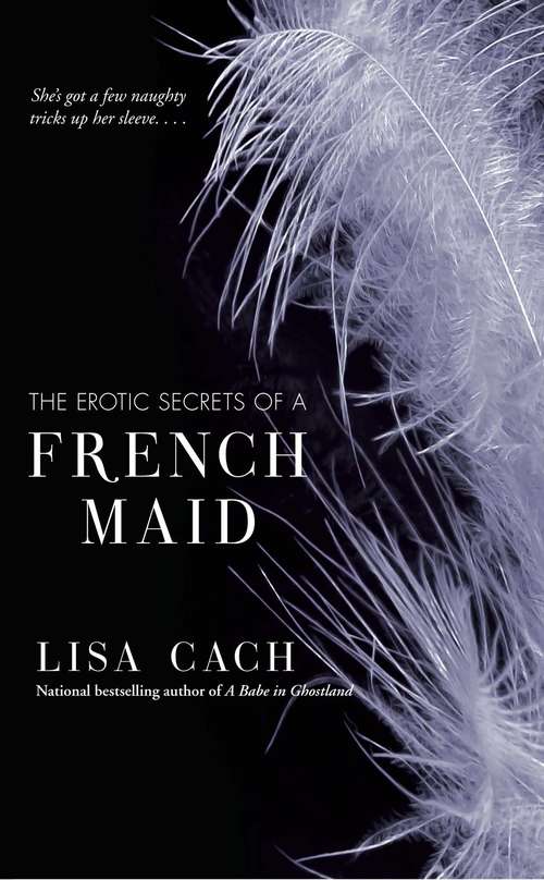 Book cover of The Erotic Secrets of a French Maid