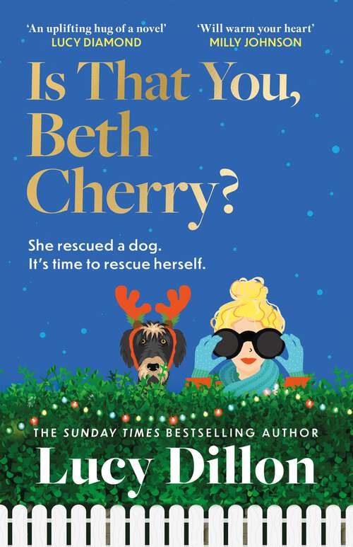 Book cover of Is That You, Beth Cherry?: the warm and witty new novel from the author of Irresponsible Adult