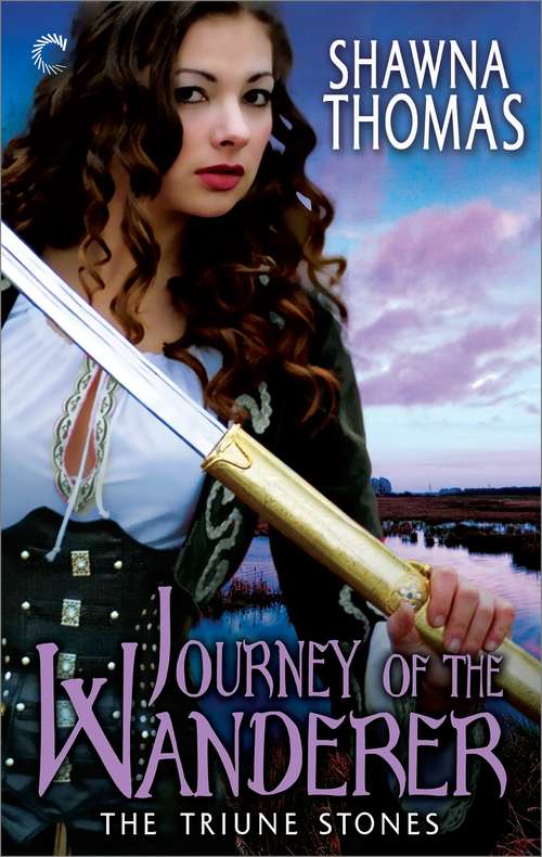 Book cover of Journey of the Wanderer