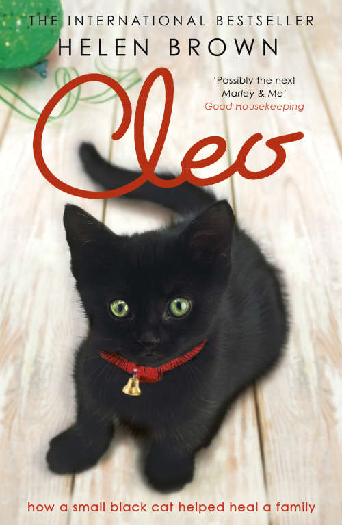 Cleo: How a small black cat helped heal a family