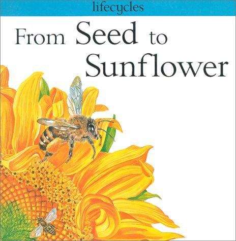Book cover of From Seed to Sunflower