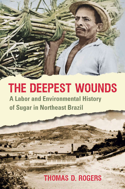 Book cover of The Deepest Wounds