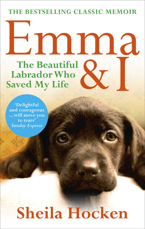 Book cover of Emma and I