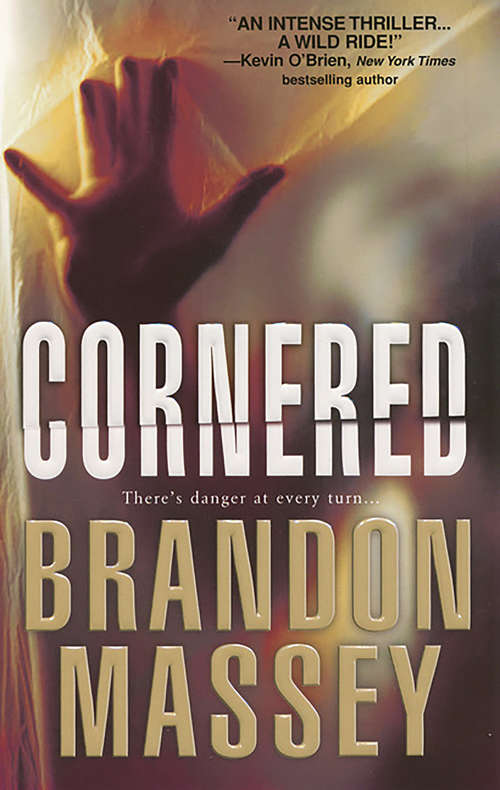 Book cover of Cornered