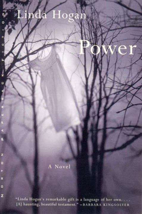Book cover of Power