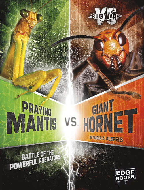 Book cover of Praying Mantis vs. Giant Hornet: Battle Of The Powerful Predators (Bug Wars Ser.)