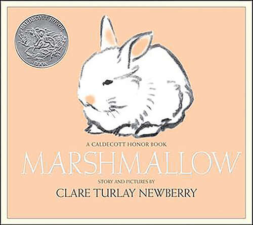 Book cover of Marshmallow: An Easter And Springtime Book For Kids