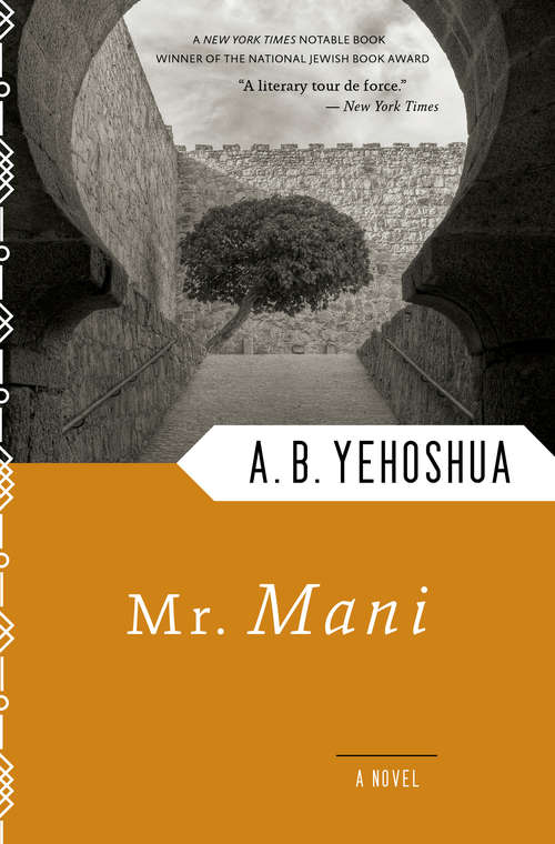 Book cover of Mr. Mani: A Novel
