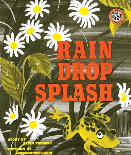 Book cover of Rain Drop Splash