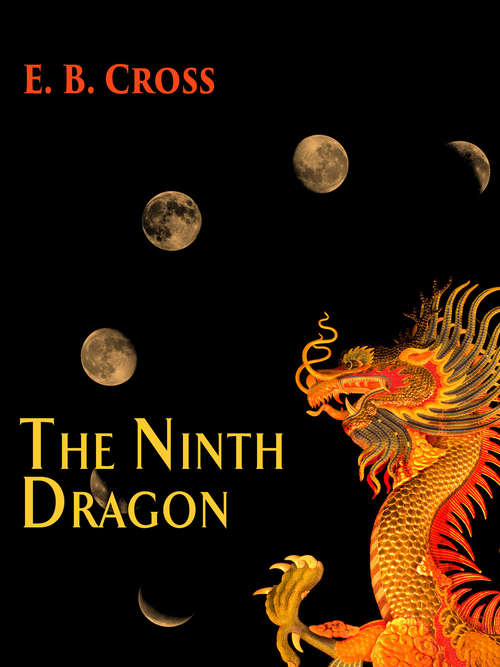 Book cover of The Ninth Dragon