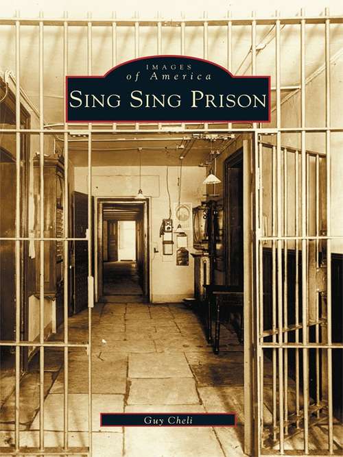 Book cover of Sing Sing Prison