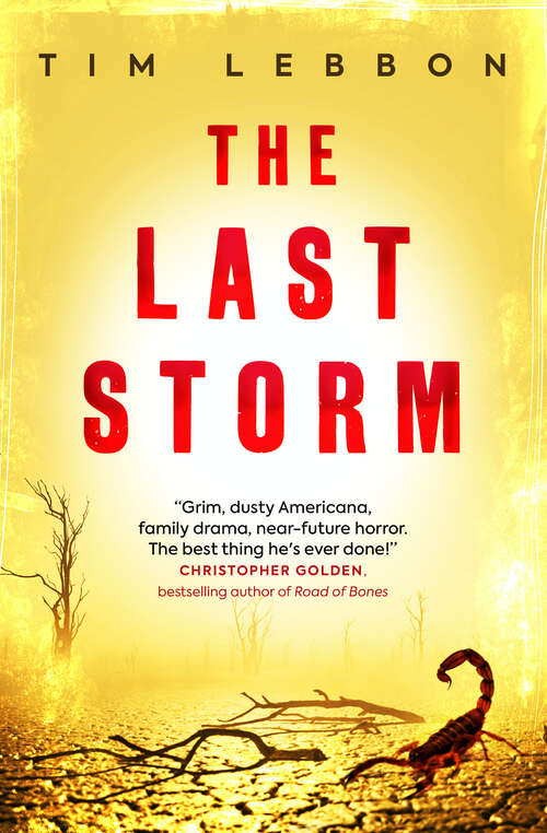 Book cover of The Last Storm