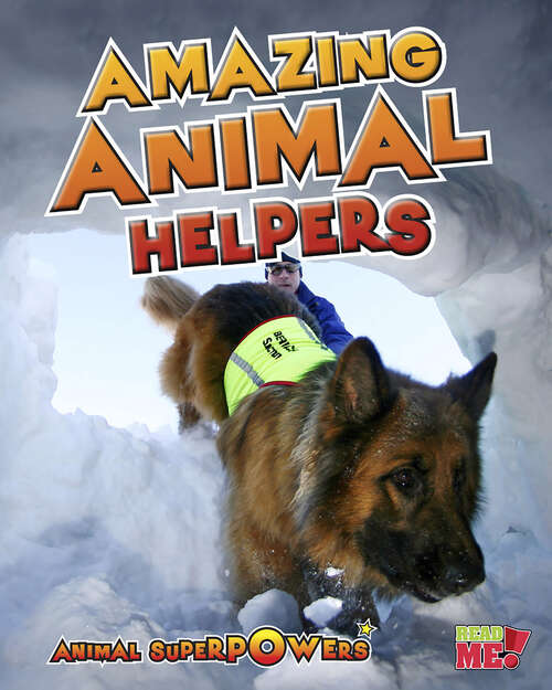 Book cover of Amazing Animal Helpers (Animal Superpowers Ser.)