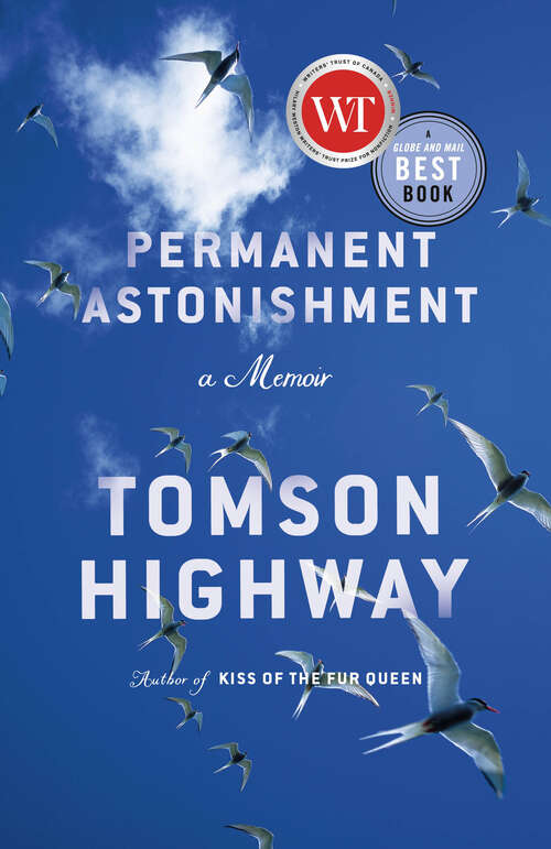 Book cover of Permanent Astonishment: A Memoir