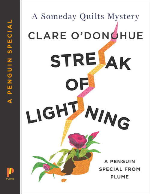 Book cover of Streak of Lightning