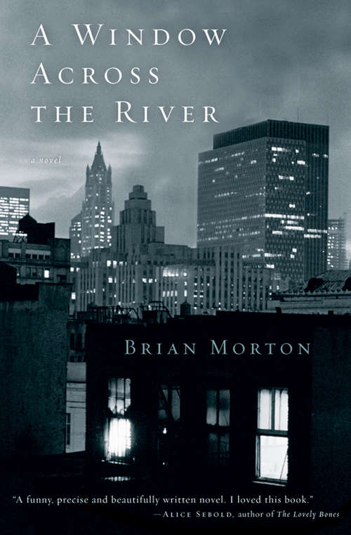 Book cover of A Window Across the River