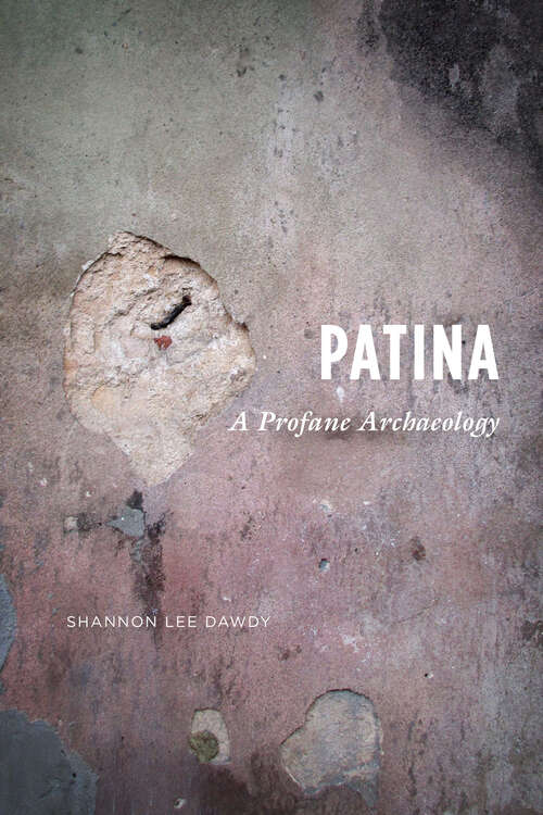 Book cover of Patina: A Profane Archaeology