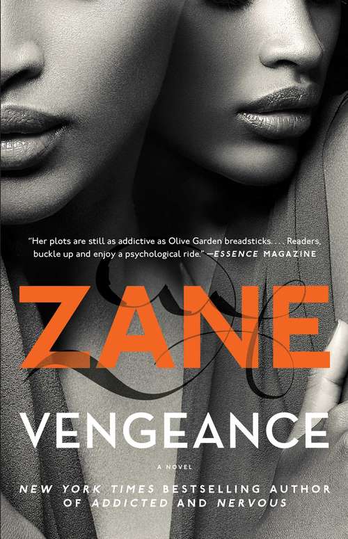 Book cover of Vengeance: A Novel