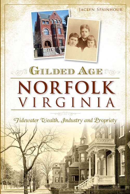Book cover of Gilded Age Norfolk, Virginia: Tidewater Wealth, Industry and Propriety