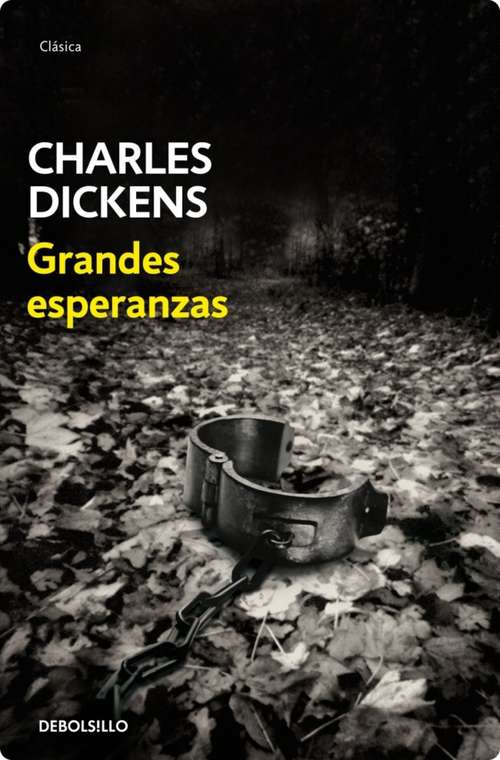 Book cover of Grandes esperanzas