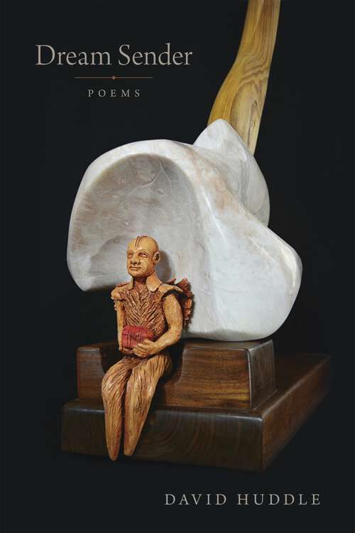 Book cover of Dream Sender: Poems (Southern Messenger Poets)