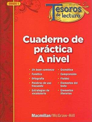 Book cover of Cuaderno de práctica: A nivel, Grado 1