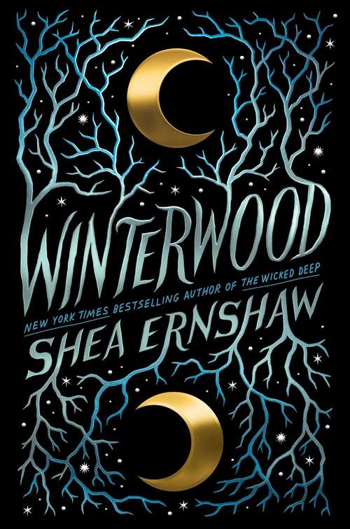 Book cover of Winterwood