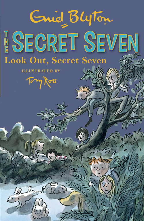 Book cover of Look Out, Secret Seven: Book 14