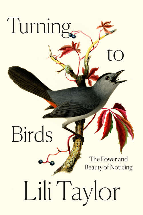 Book cover of Turning to Birds: The Power and Beauty of Noticing