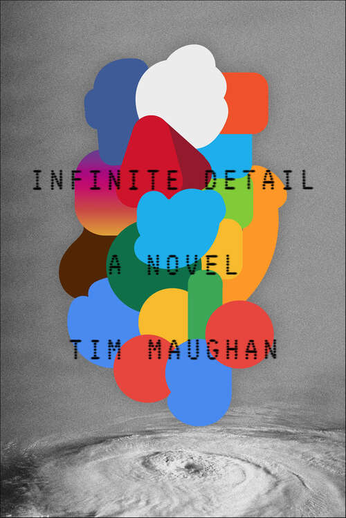 Book cover of Infinite Detail: A Novel