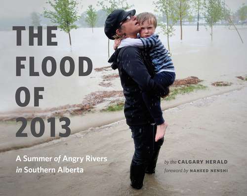 Book cover of The Flood of 2013