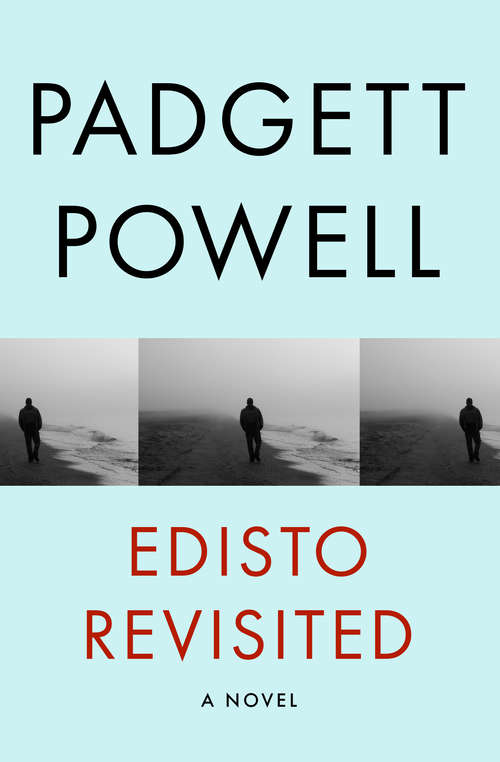 Edisto Revisited: A Novel