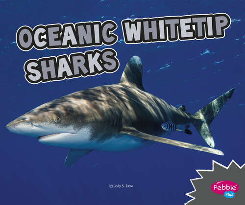 Book cover of Oceanic Whitetip Sharks: A 4d Book (All About Sharks Ser.)