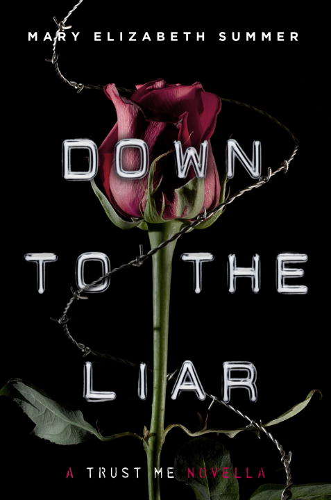 Book cover of Down to the Liar