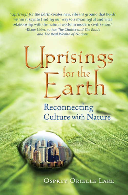 Book cover of Uprisings for the Earth