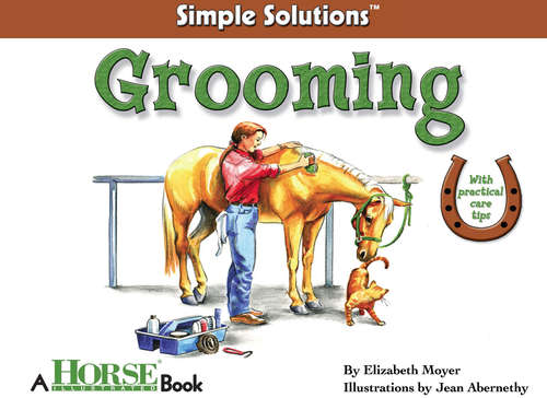 Book cover of Grooming