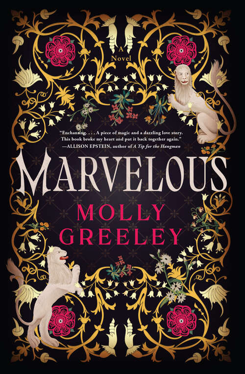 Book cover of Marvelous: A Novel