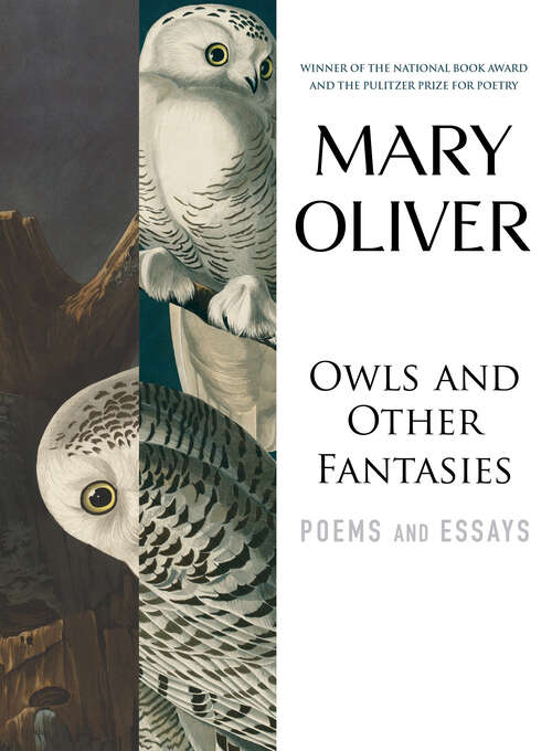 Book cover of Owls and Other Fantasies: Poems and Essays