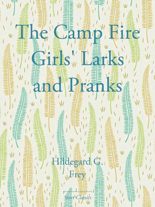 Book cover of The Camp Fire Girls' Larks and Pranks