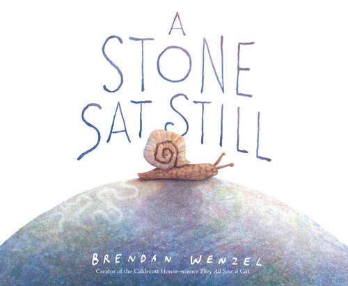 Book cover of A Stone Sat Still