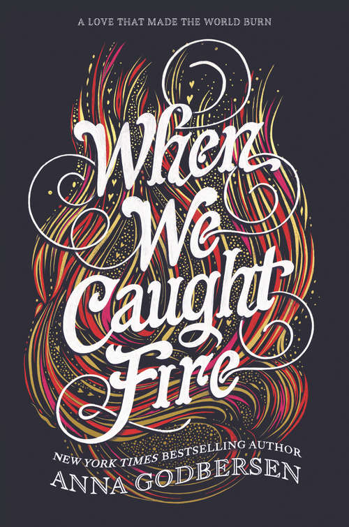 Book cover of When We Caught Fire