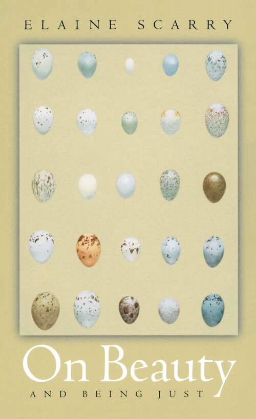Book cover of On Beauty and Being Just