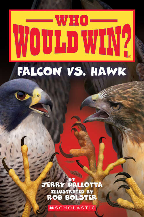 Book cover of Falcon vs. Hawk (Who Would Win? #23)