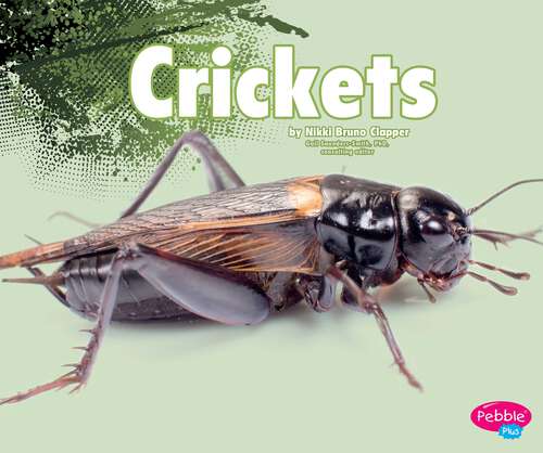 Book cover of Crickets