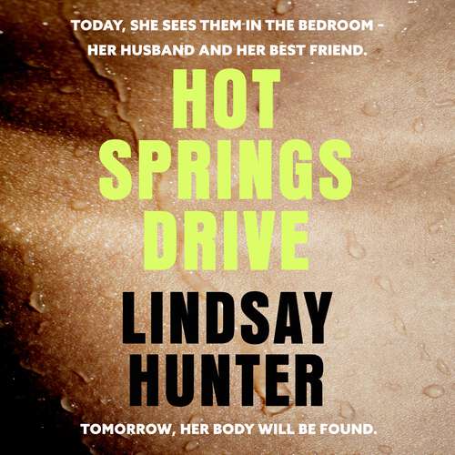 Book cover of Hot Springs Drive